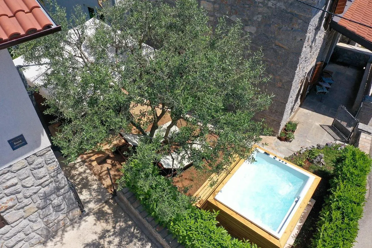 Villa Fani With Jacuzzi Icici 0*,  Croatia
